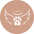 Chamada 5