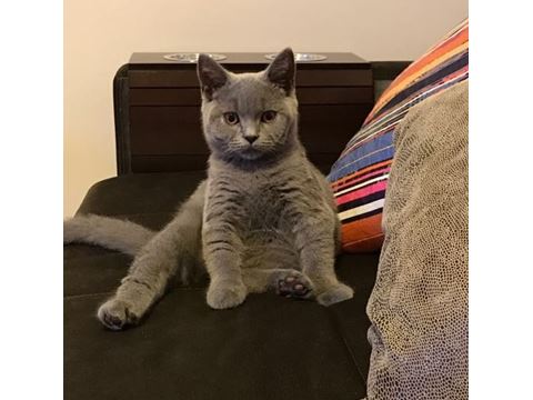 Zion