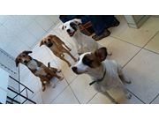 Ranny e Família