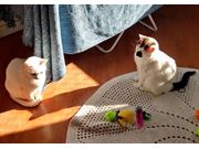 Duda  & Luna